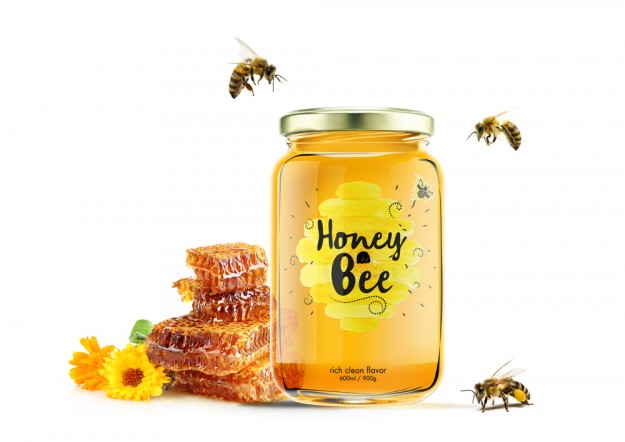 Honey Bee